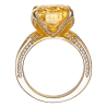 Treasure Designer Gem Ring of Gorgeous Yellow Diamond Feng Shui Art Ring Online Custom Made